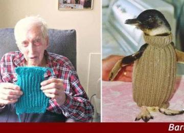 A 109 anni proteggere i pinguini dalle fuoriuscite di...