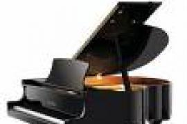 Lezioni di pianoforte, acustica musicale e accompagnamento 3
