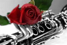 Lezioni di clarinetto, sassofono, fisarmonica, chitarra e... 1