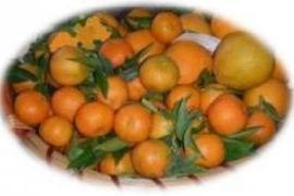 Arance / clementine calabresi 1