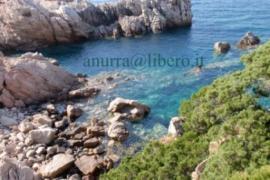 Sardegna:Costa Paradiso – affittasi villino panoramico 1
