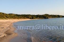 Sardegna-Isola Rossa:affitto a 30m dalla spiaggia 2