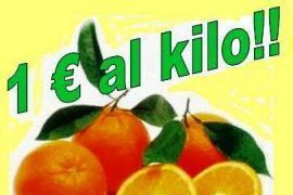 Le arance Tarocco della Calabria a prezzo speciale. 1
