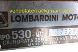 Disponibile motozappa Lombardini, motore e cambio nuovi, con... 1